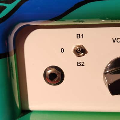 Schroeder 2011 DB7 Custom 40-Watt Head RARE Pamelina Hand-Painted Shell - Serial #48 image 4