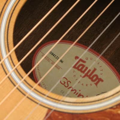 Taylor Gs Mini [2104121206] (04/22) image 8