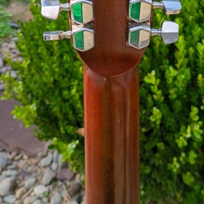Fender - F-55-12 **VINTAGE 1979** image 9