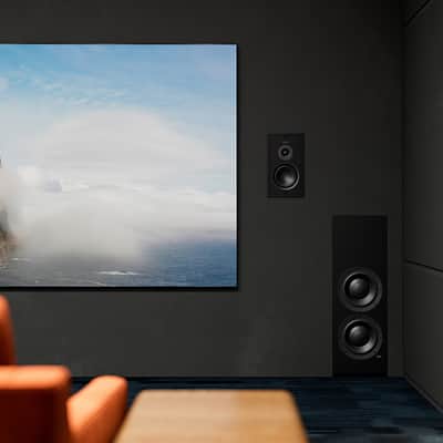 LYNGDORF DW-10 - Passive Boundary Woofer - NEW! image 3