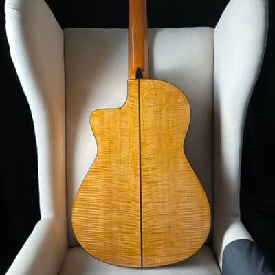 Kenny Hill 7 String Classical Cutaway Crossover Seven String image 2
