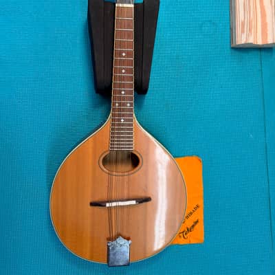 Trinity College TM-250 Celtic Mandolin – All-Solid Woods, One-Owner "Closet Classic" with Mint Original Hardshell Case image 11