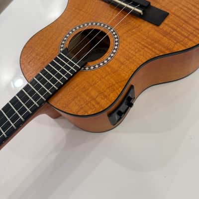 Vogga VCC630EQ MS Electro-Acoustic Cavaquinho (Imported from Brazil) image 14