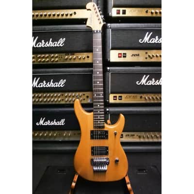 Washburn N2 image 1