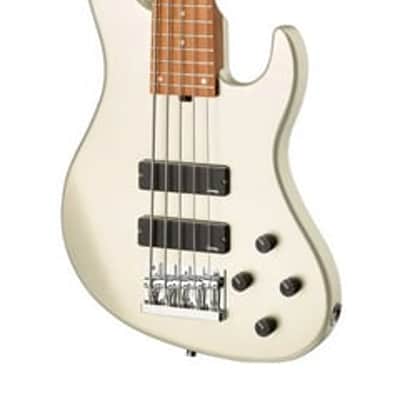 Sadowsky MetroExpress 5-String 24-Fret Modern Bass Roasted Maple Fingerboard 5-String High Polish, Solid Champagne Metallic High Polish image 8