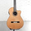 Cordoba Fusion Orchestra CE Nylon String Acoustic Guitar - Cedar (Fusion12OCECDd1)