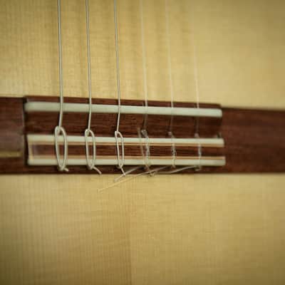 Johannes T' Kindt / Flamenco guitar, 2025 Spruce / Ind. Rosewood Flamenco guitar, 2025 French Polish image 7