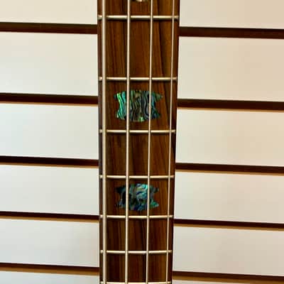 Spector NS-2 4 String Bass Made In USA, Transparent Grey with Hardshell Case - Pre Owned image 14