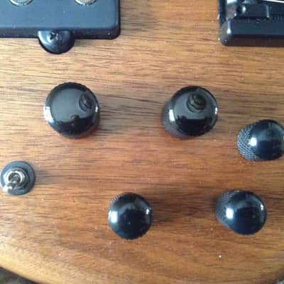 Carvin LB76 lefty (with video) image 9