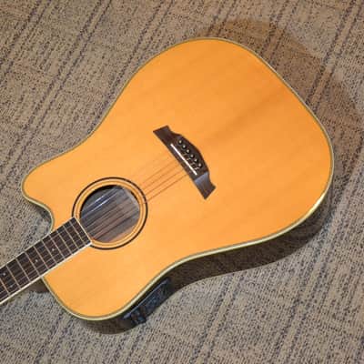 Parkwood PW560 Acoustic Guitar. Solid woods. Dove tail. Fishman Prefix. Hardshell case. Excellent. image 4