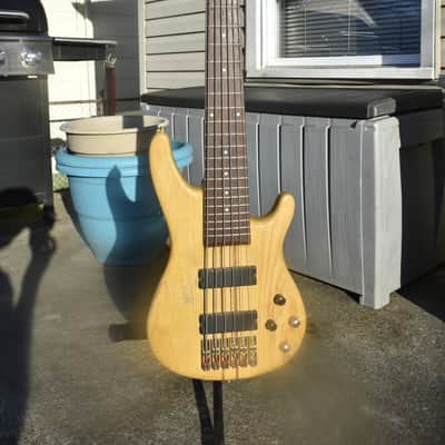 Agile Brice 6 string bass Vintage toned image 1