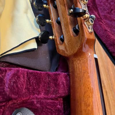 MINT Cordoba C9 Parlor with Barbera Pickup image 7