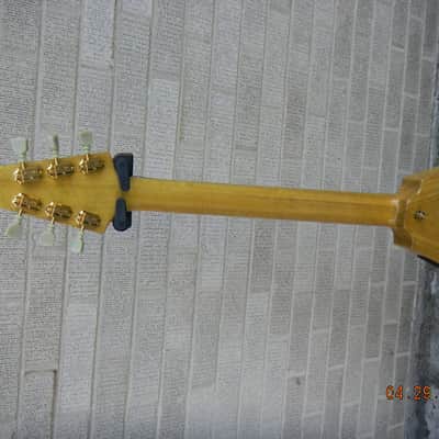 Hamer USA Vector 2005 Korina image 8