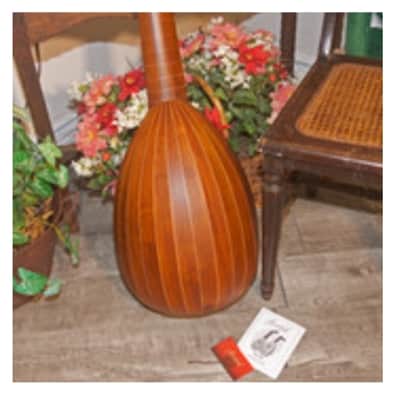 Roosebeck LT8SRSN | 8-Course Sheesham/Canadian Spruce Lute w/ Bag. New with Full Warranty! image 2