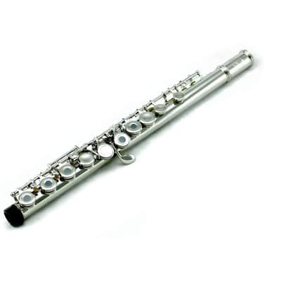 Nickel Plated C foot Flute w Straight & Curved Headjoints Student Model image 5