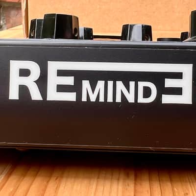 Enjoy Electronics REmindER Delay Reverb Matrix Modulation image 4