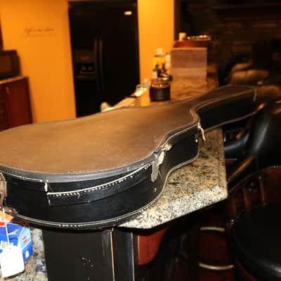 Mid to late 60' Gibson ES-330 ES-335 soft case image 17