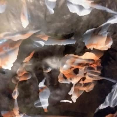 Drum Art image 3