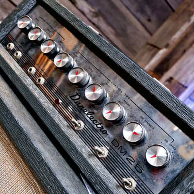 Danelectro DM-25 Vintage Tube Amp/Cab Combo w/ Reverb & Tremolo image 6