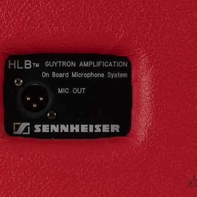 Guytron GT100 F/V Head & Cab Red Tolex image 17