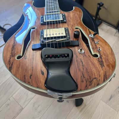 Olson guitar image 1