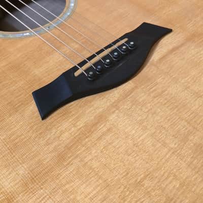 Immagine Taylor Big Leaf Maple 2006 w/case - 7