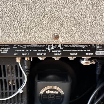 Gibson Falcon 5 Combo image 6