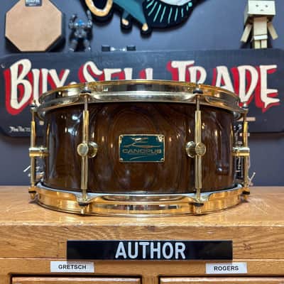 Canopus Zelkova exotic wood 14X6.5" Snare Drum image 1