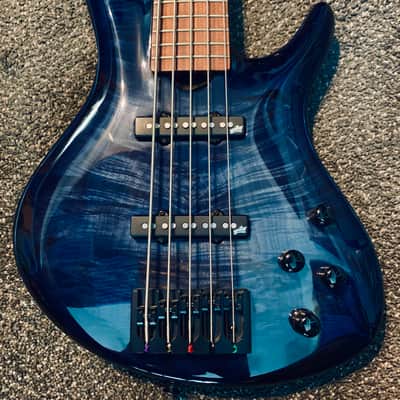 Roscoe Century Custom 5J 2015 Blueburst image 1