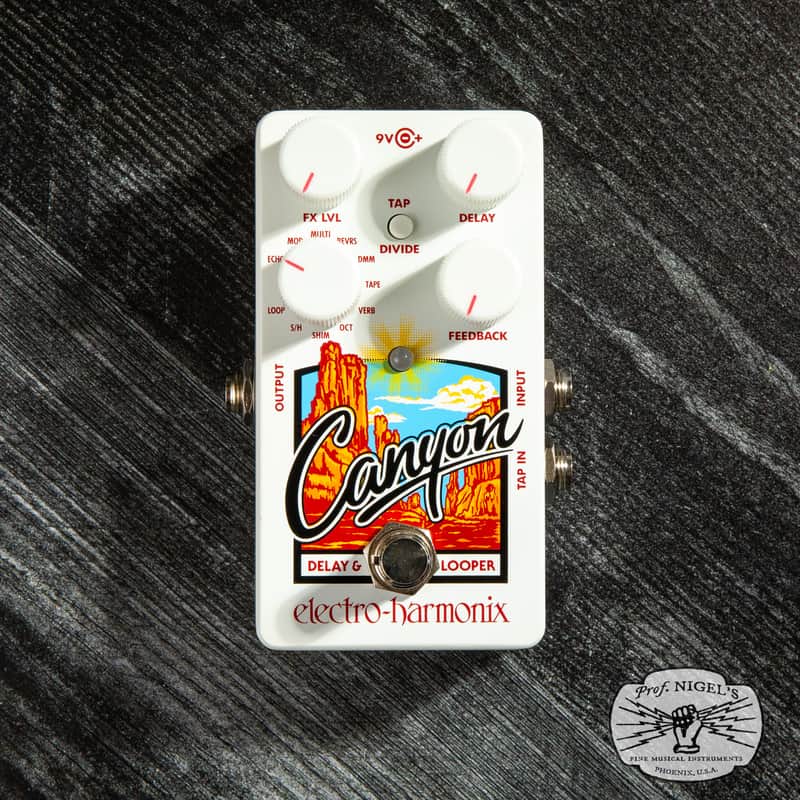 Electro-Harmonix Canyon Delay & Looper Effects Pedal - Authorized Dealer image 1