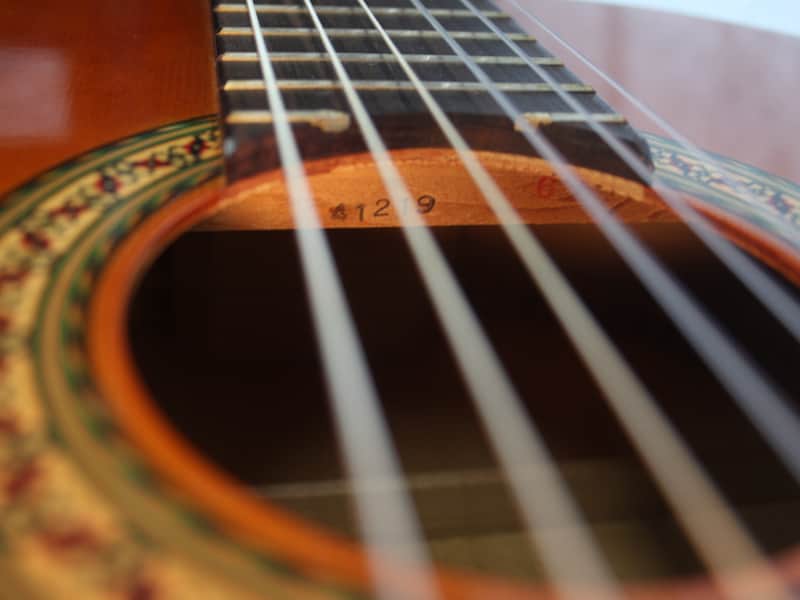 Yamaha G-120 Classical Guitar | Reverb