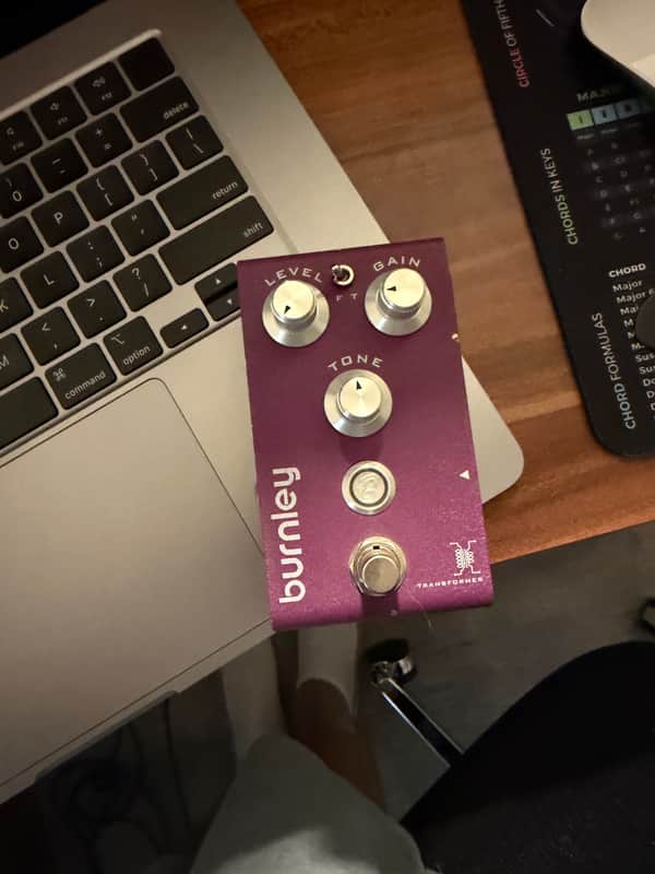 Bogner Burnley V2 2010s - Purple image 1