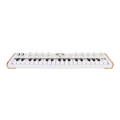 Arturia AstroLab 37 37-Key Stage Keyboard image 3