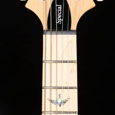 PRS SE Swamp Ash Special Iris Blue (694) image 6