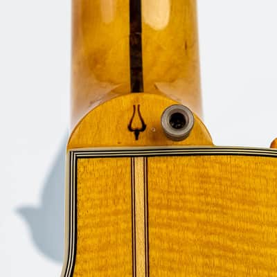 Daion The Year Series '81 Caribou - Tinted Tan (TAN) - Electric Acoustic Six String image 10