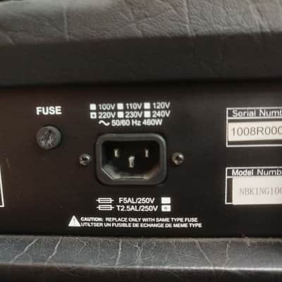 Randall NB King 100 Nuno Bettencourt Signature 2-Channel 100-Watt Tube Guitar Amp Head 2000s - Black with Gold Panel image 10