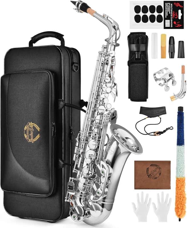 Leo Jaymz Eb Alto Saxophone - One-Piece Body or Neck Construction, H68 Brass, with Thickened Travel Bag - Nickel image 1