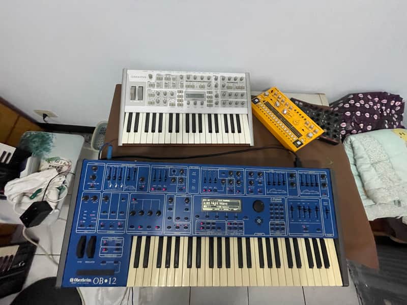 Oberheim OB-12 49-Key 12-Voice Synthesizer