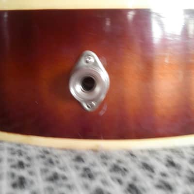 Musima 1653 50-60ss 2 Color Sunburst image 7