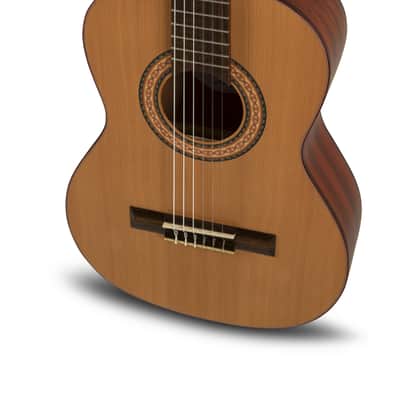 Manuel Rodriguez T-57 TRADICÍON Series 3/4 Size Solid Cedar Top Mahogany Neck Nylon 6-String Classical Acoustic Guitar image 4