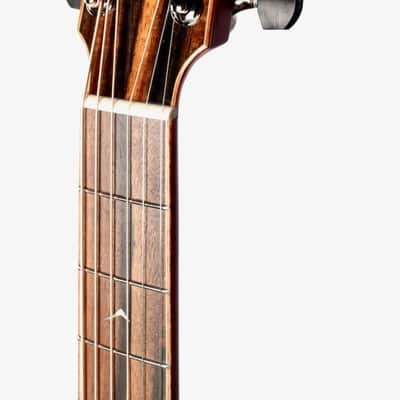 Furch Rainbow Limited Edition 22 Gc-RR All Rosewood w/ Duo Bevel #108800 image 9