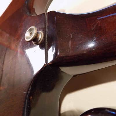 Epiphone  Scroll 1976 - 1979 image 8
