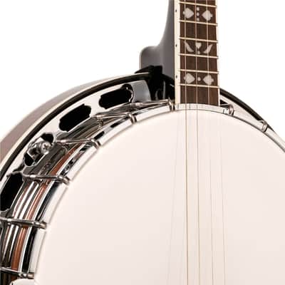 GOLD TONE TS-250 Tenor Special banjo NEW w/Hard Case image 5