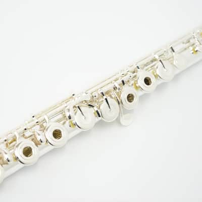Muramatsu GX-RHE 「GX-RBE」 Open hole, H(B) foot, split E mechanism, offset G / made in Japan image 5