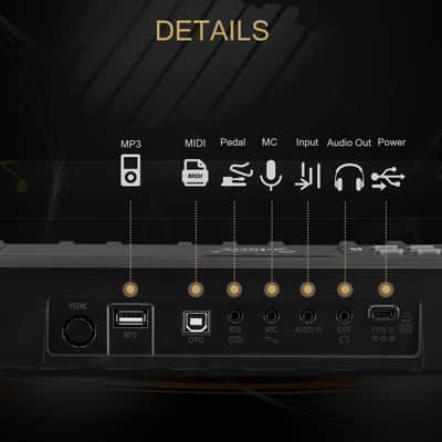 Free Shipping! 🎹88 Key Portable Foldable Electric Piano / Keyboard MIDI, USB, Soft Case / Gig Bag, Microphone, & Sustain Pedal!🎹 image 6