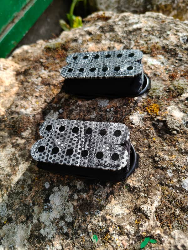 Besson Custom pickups Singularity 6 2026 image 1