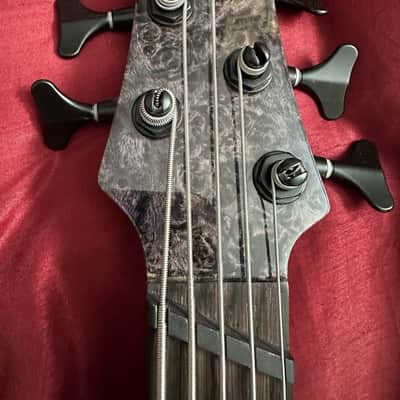 Ibanez Ibanez SDGR 5-String 2021 - Purple Burl image 3