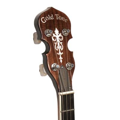 Gold Tone Model IT-250 Irish Tenor 4-String Open Back Banjo with Case image 7