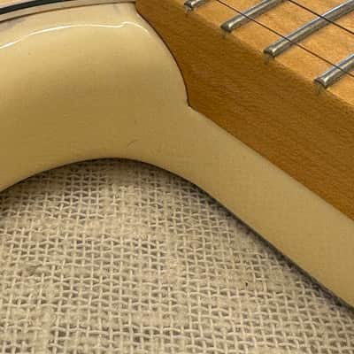 2020 Shawn Mendes Foundation Musicmaste Floral Design HS Limited Edition Out of Production CLEAN + Fender G&G Deluxe Hardshell Case image 11