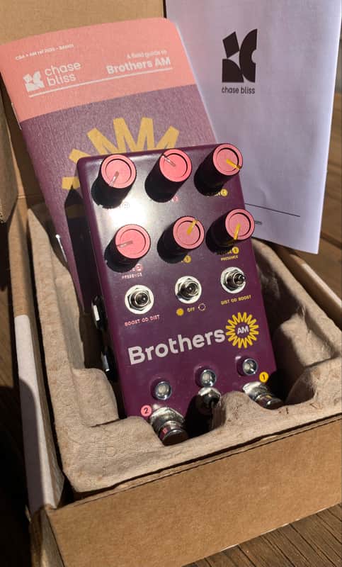 Chase Bliss Audio Brothers AM